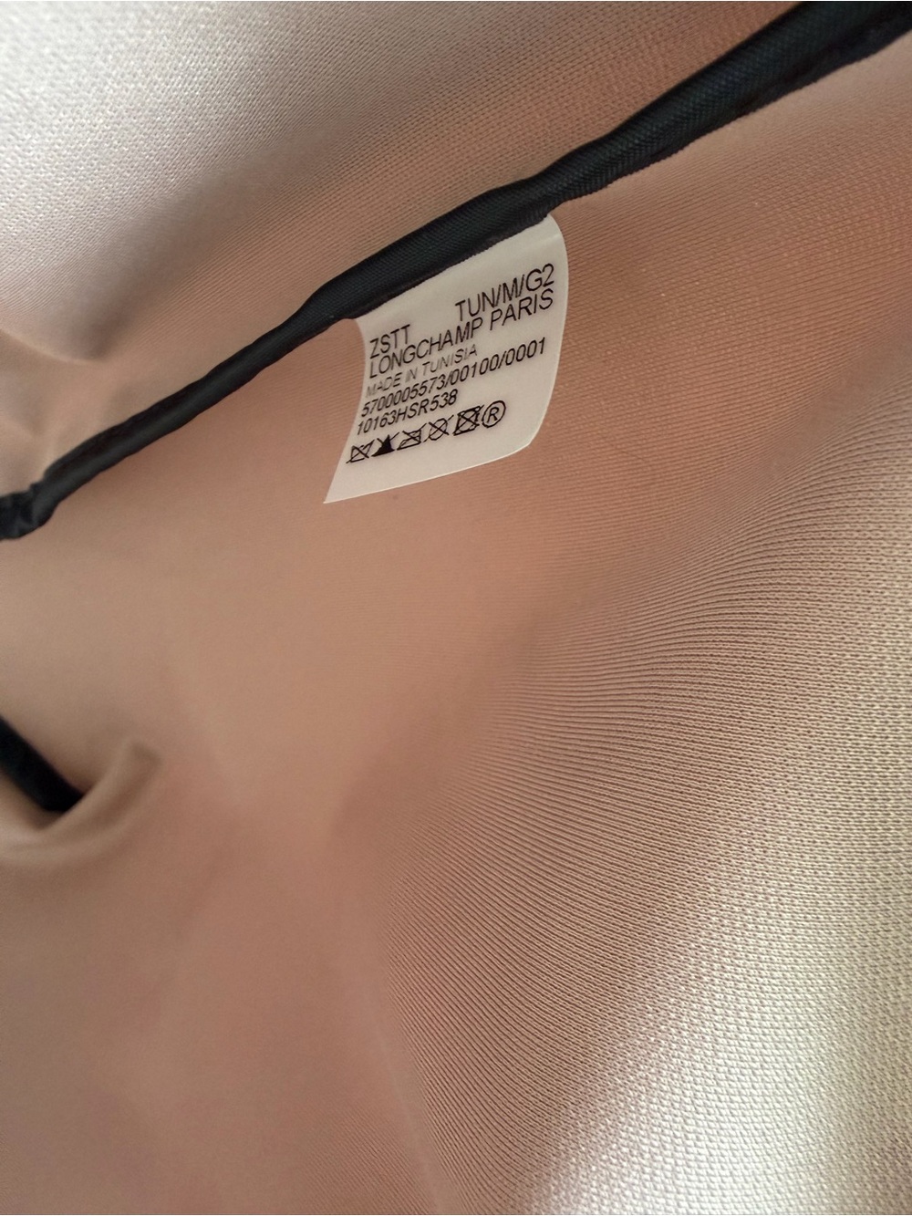 Longchamp Energy XXL Long Handle Dusty Rose Tote with Black Trim - Picture 14 of 14